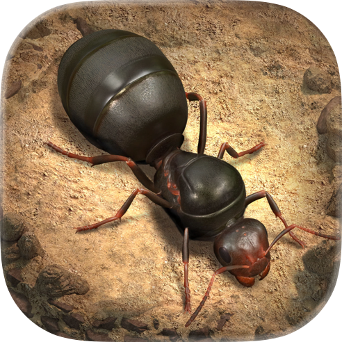 The Ants Top-Up: Buy Instantly on FlashTopup